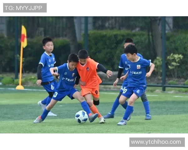 足球明星传奇瞬间集锦纪念册展现绿茵场上的辉煌与梦想